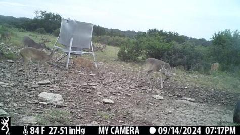 1 El Rincon Road Mountain Home TX 78058