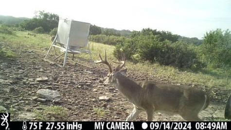 1 El Rincon Road Mountain Home TX 78058