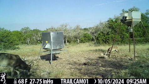 1 El Rincon Road Mountain Home TX 78058