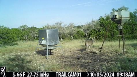 1 El Rincon Road Mountain Home TX 78058