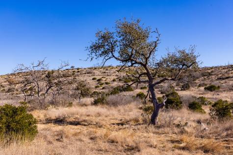Lot 31 Rocksprings Rocksprings TX 78880