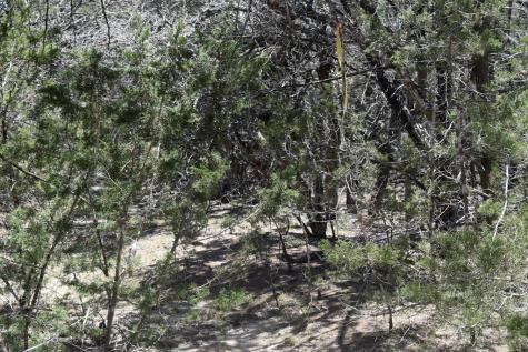 6270 Fm 3240 Bandera TX 78003