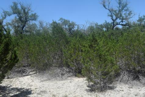 6270 Fm 3240 Bandera TX 78003