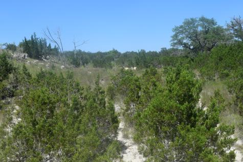 6270 Fm 3240 Bandera TX 78003