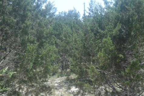 6270 Fm 3240 Bandera TX 78003
