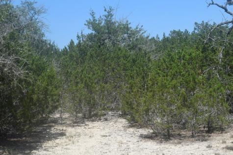 6270 Fm 3240 Bandera TX 78003
