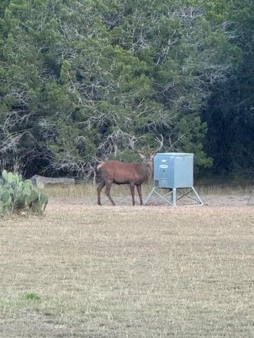 1100 Madrona Ridge Bandera TX 78003