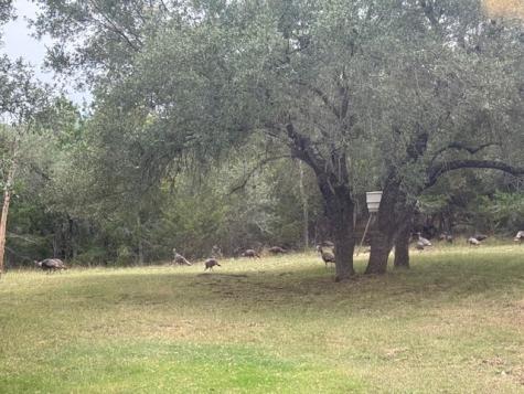 1100 Madrona Ridge Bandera TX 78003