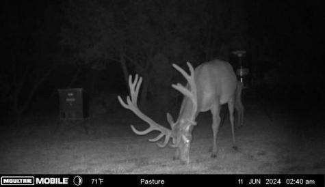 1100 Madrona Ridge Bandera TX 78003