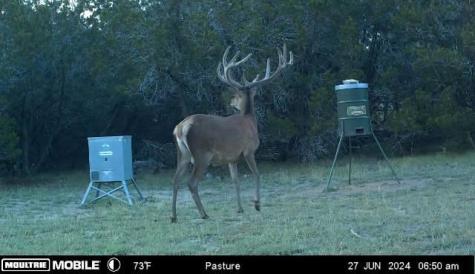 1100 Madrona Ridge Bandera TX 78003