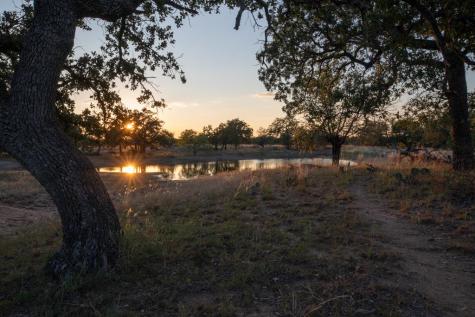 Mason TX 76842