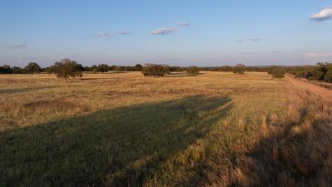 Mason TX 76842