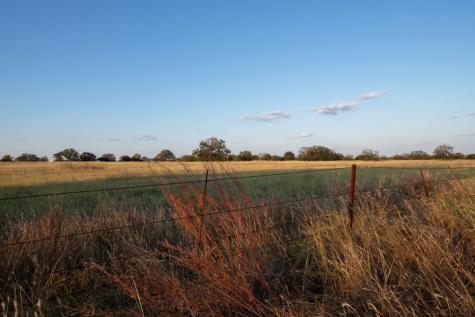 Mason TX 76842
