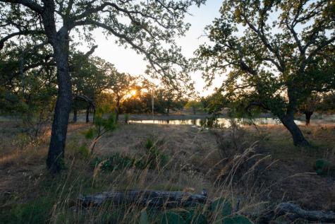 Mason TX 76842