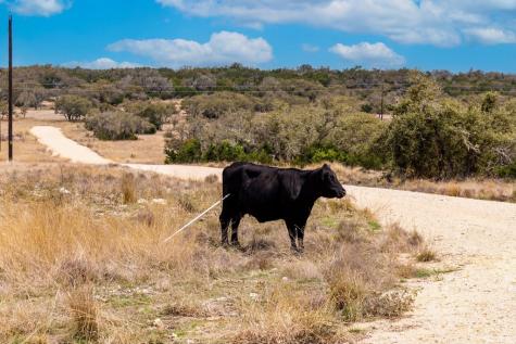 Lot 22 Mountain View Drive Mountain Home TX 78058