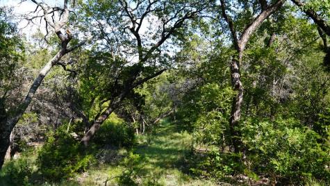 Medina TX 78055