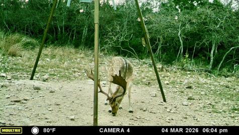 475 River Bend Road Hunt TX 78024