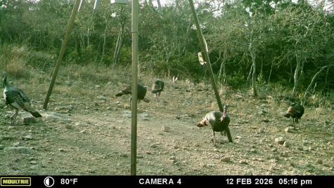 475 River Bend Road Hunt TX 78024