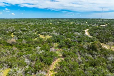 200 Elkhorn Circle Mountain Home TX 72653