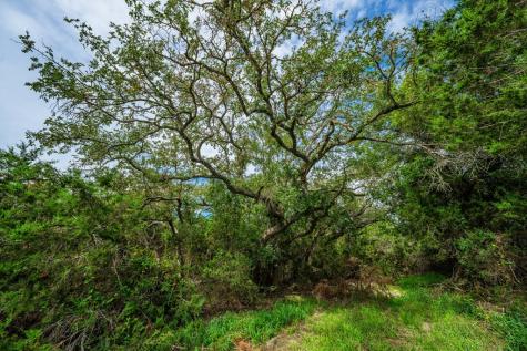 200 Elkhorn Circle Mountain Home TX 72653
