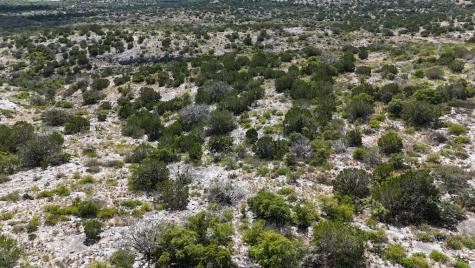 18797 Other Del Rio TX 78880