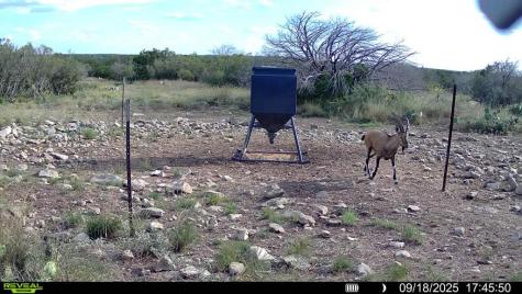 0 J S Murry Ranch Road Del Rio TX 78840