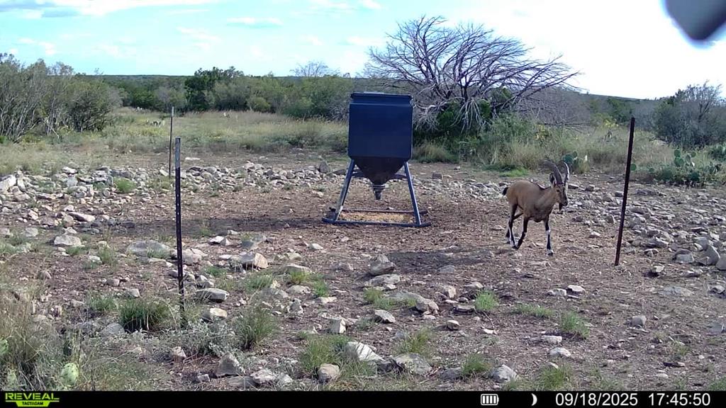 0 J S Murry Ranch Road Del Rio TX 78840