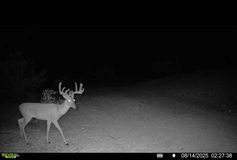 0 J S Murry Ranch Road Del Rio TX 78840