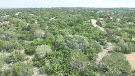 0 J S Murry Ranch Road Del Rio TX 78840