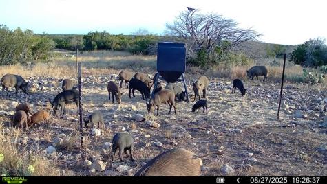 0 J S Murry Ranch Road Del Rio TX 78840