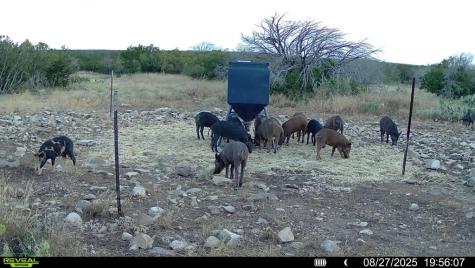0 J S Murry Ranch Road Del Rio TX 78840