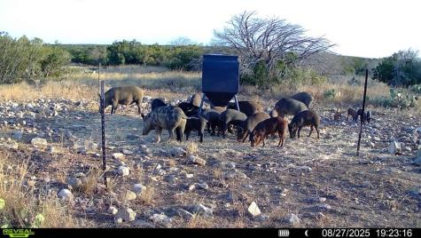0 J S Murry Ranch Road Del Rio TX 78840