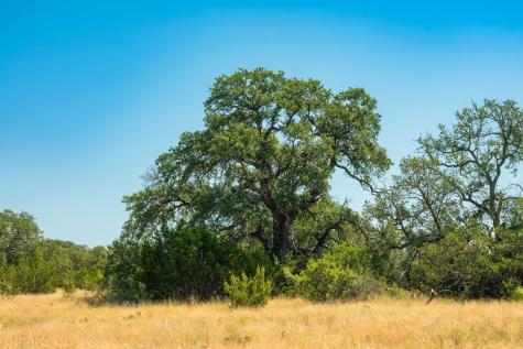 1075 Pr 3523 Roosevelt TX 76874