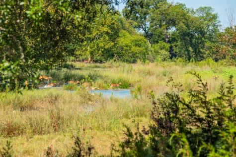 1075 Pr 3523 Roosevelt TX 76874