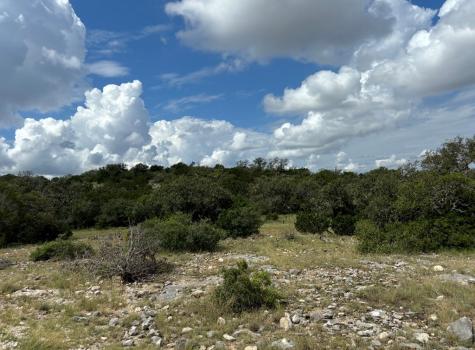 264 Sd 45965 Rocksprings TX 78880