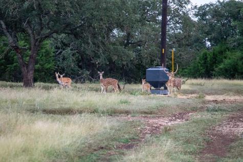 252 El Rincon Road Mountain Home TX 78058