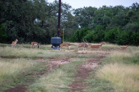 252 El Rincon Road Mountain Home TX 78058