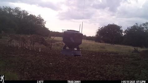 252 El Rincon Road Mountain Home TX 78058