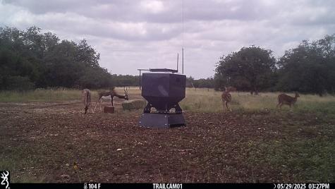 252 El Rincon Road Mountain Home TX 78058