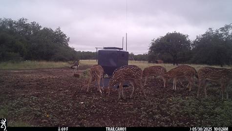252 El Rincon Road Mountain Home TX 78058