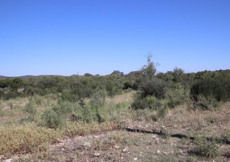 3618 Sd 52100 Rocksprings TX 78880