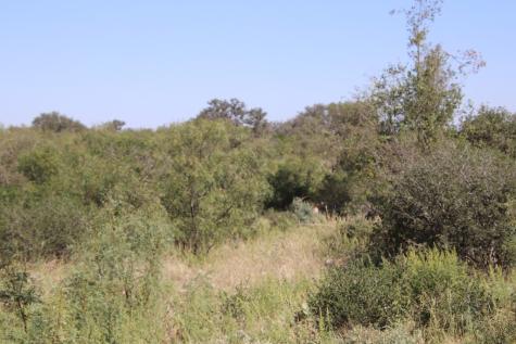 3618 Sd 52100 Rocksprings TX 78880