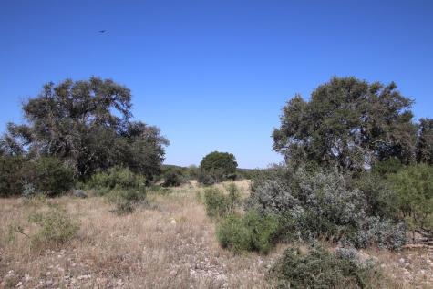 3618 Sd 52100 Rocksprings TX 78880