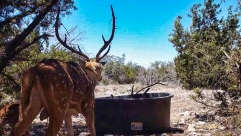 11548 Turkey Trail Fort Mckavett TX 76841