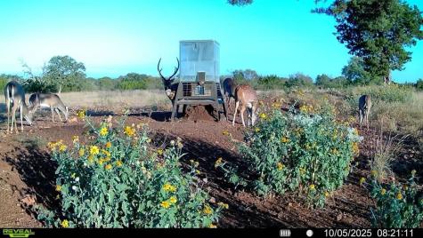 647 Funf Kinder Road Fredericksburg TX 78624