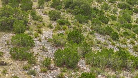 Sd 45475 Rocksprings TX 78880