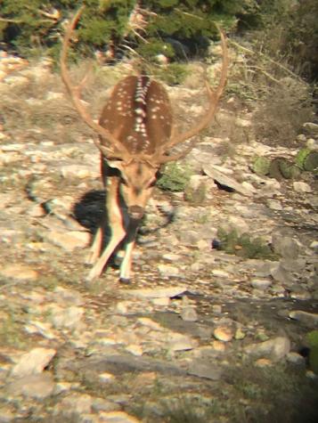 0000 County Road 310 Rocksprings TX 78880