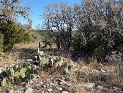 0000 County Road 310 Rocksprings TX 78880