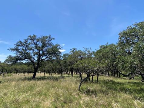 208 Saddle Wood Trail Comfort TX 78013