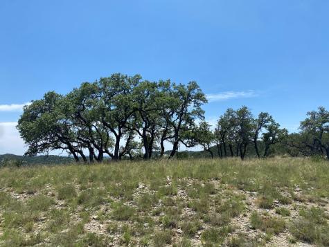 208 Saddle Wood Trail Comfort TX 78013